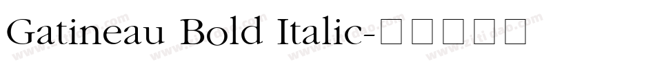 Gatineau Bold Italic字体转换